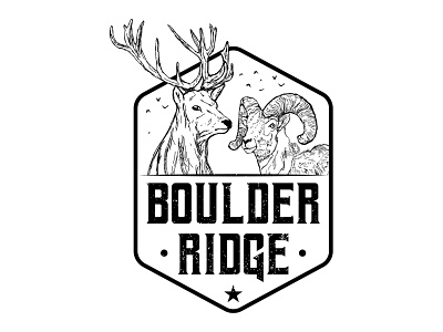 'Boulder Ridge' Logo Design Concept ravi verma