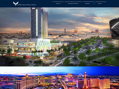 Website Design Project for 'Osprey Real Estate'