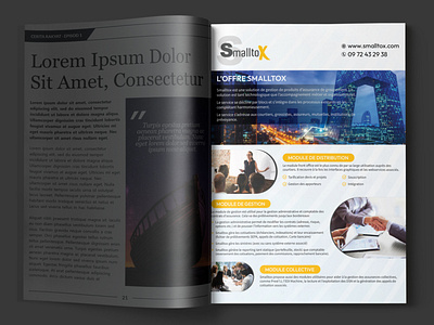 Magazine Advt. Design concept for 'Smalltox' webui