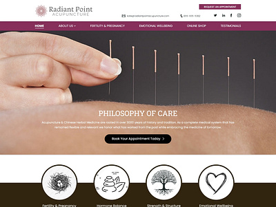 Website Design Concept for 'Radiant Point Acupuncture' vehicle wrap
