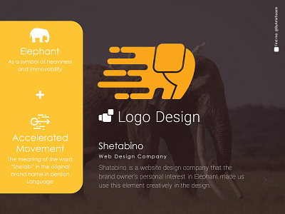 Web Design Company Logo design amirhosein amirhosein taherimoghadam branding design designer elephant logo graphic design illustration logo logodesign shetabino ui vector web design logo
