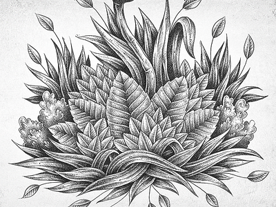 ink drawings of leaves