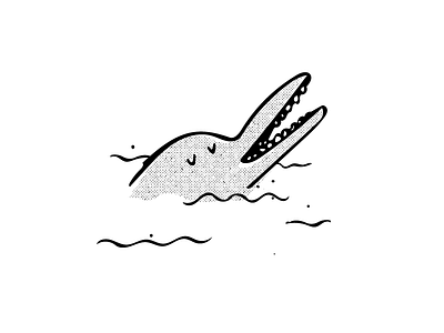 Toothy Dolphin dolphin illustration sea