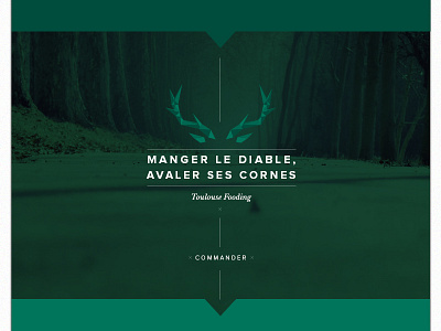 Manger le diable. deer food internet nature shop toulouse webdesign website