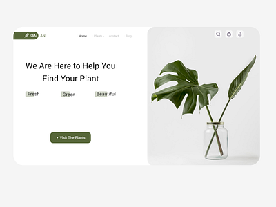 Buy Plants Online design ecommerce iconly landing ui ux website concept website design