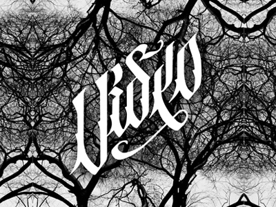 Video Logo 2 calligraphy design graphic letter lettering logo logotype typography vector wlk