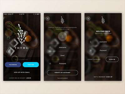 Daily UI #001 Sign Up