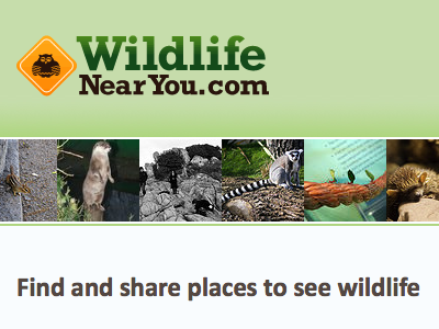 WildlifeNearYou.com devfort site wildlife