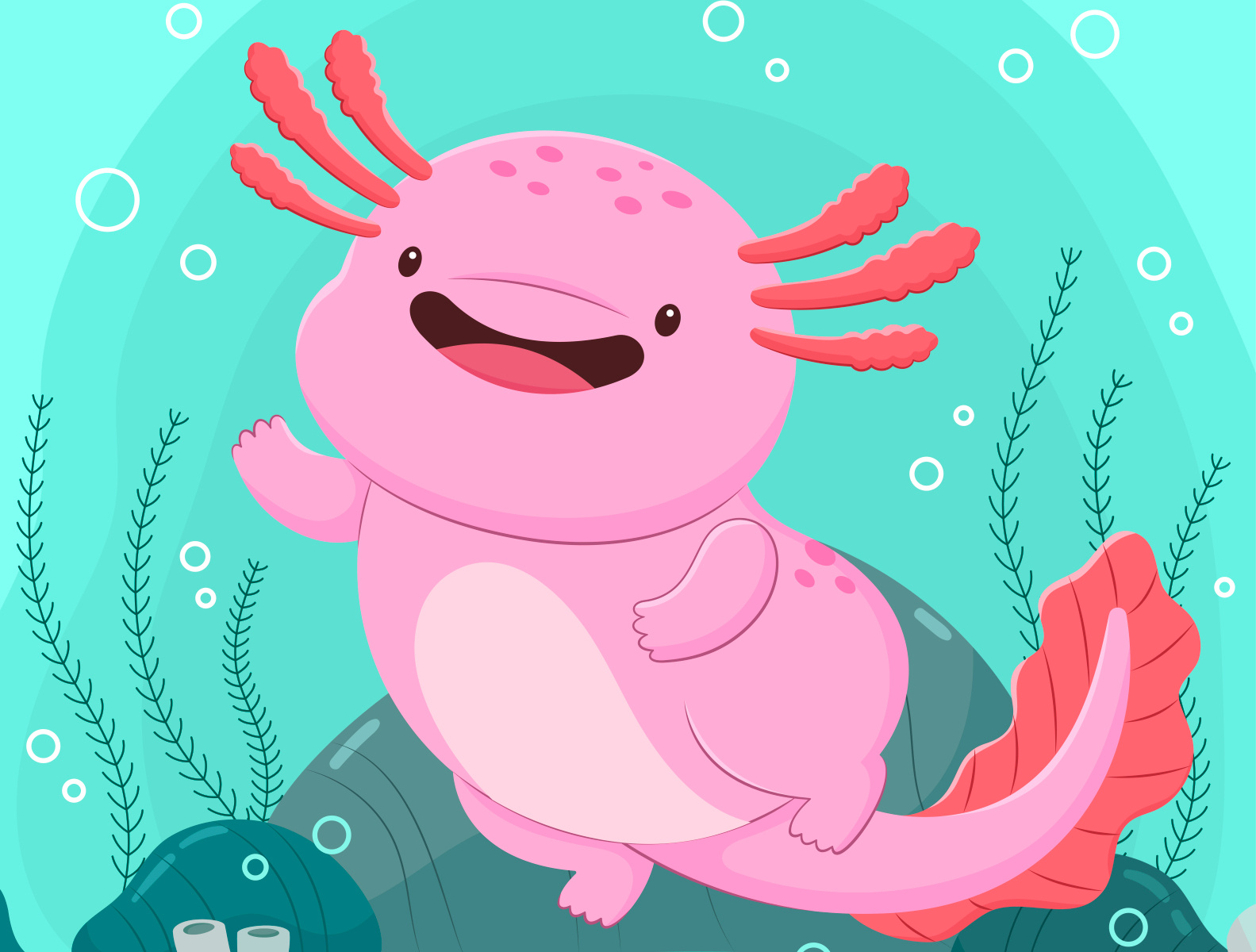 Happy Axolotl Illustration by Carla Mendoza on Dribbble