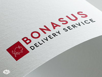 Logo BONASUS