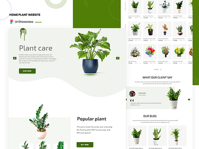 Plant Care website design best of 2021 best of dribbble landing page design plant website ui uidesign uiux ux uxdesign website website concept website design and development