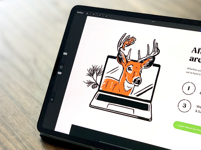 Web Deer buck deer illustraiton hand drawn laptop pen and ink procreate ui web illustration website design