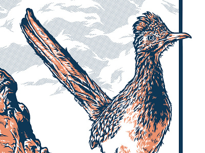 Roadrunner bird illustration inking pen and ink poster design roadrunner screen printing screenprint serigraph