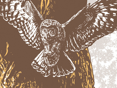 Owl animal art print bark cross hatch illustration owl pen and ink screen print sketch tree