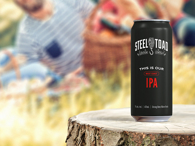 Steel Toad IPA beer label brewery craft beer ipa lifestyle matte black modern package design tall can
