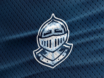 Dean's House Knight characterdesign college house mascot illustration knight logo mascot school sports