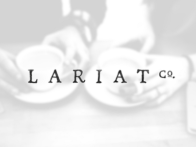 Lariat branding identity lariat logo organic texture type typography