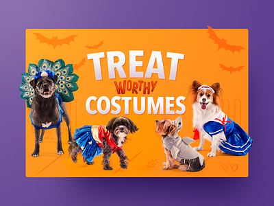 Happy Halloween! bats cards chewy costumes cute dog halloween happy illustration pet shadow