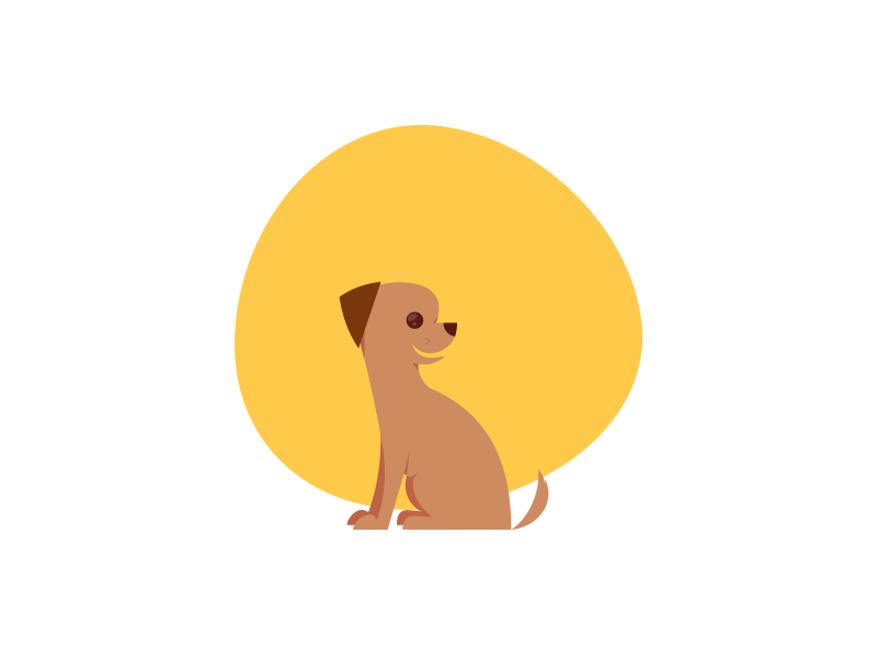Dog Life Stages v2 by Zachery Lewis for chewy on Dribbble