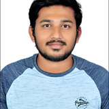 NagaPraveen Ramisetti