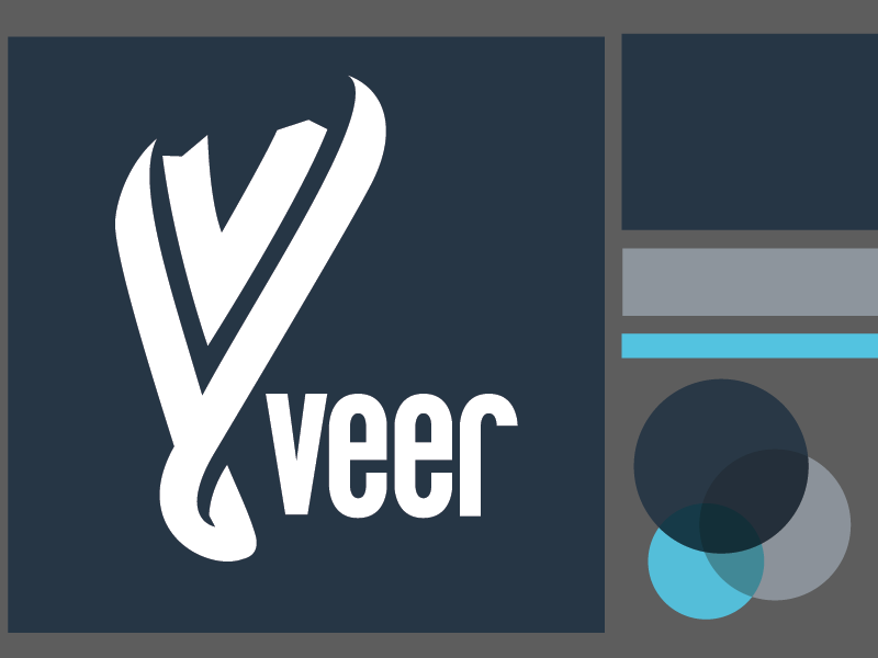 veeer icon