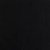 Irene Lidia 黎明  Wang