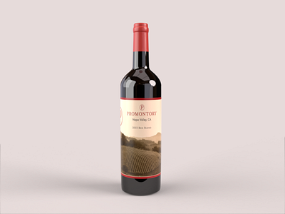 Wine Bottle Redesign