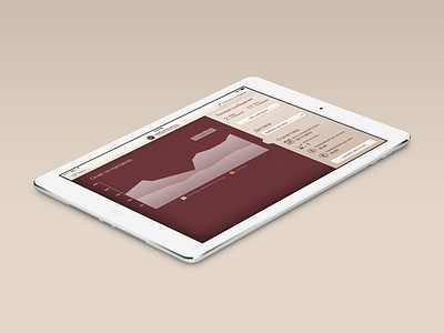Design iPad app for Nord-Kapital finance fintech interface investments ios ipad news office personal private ui