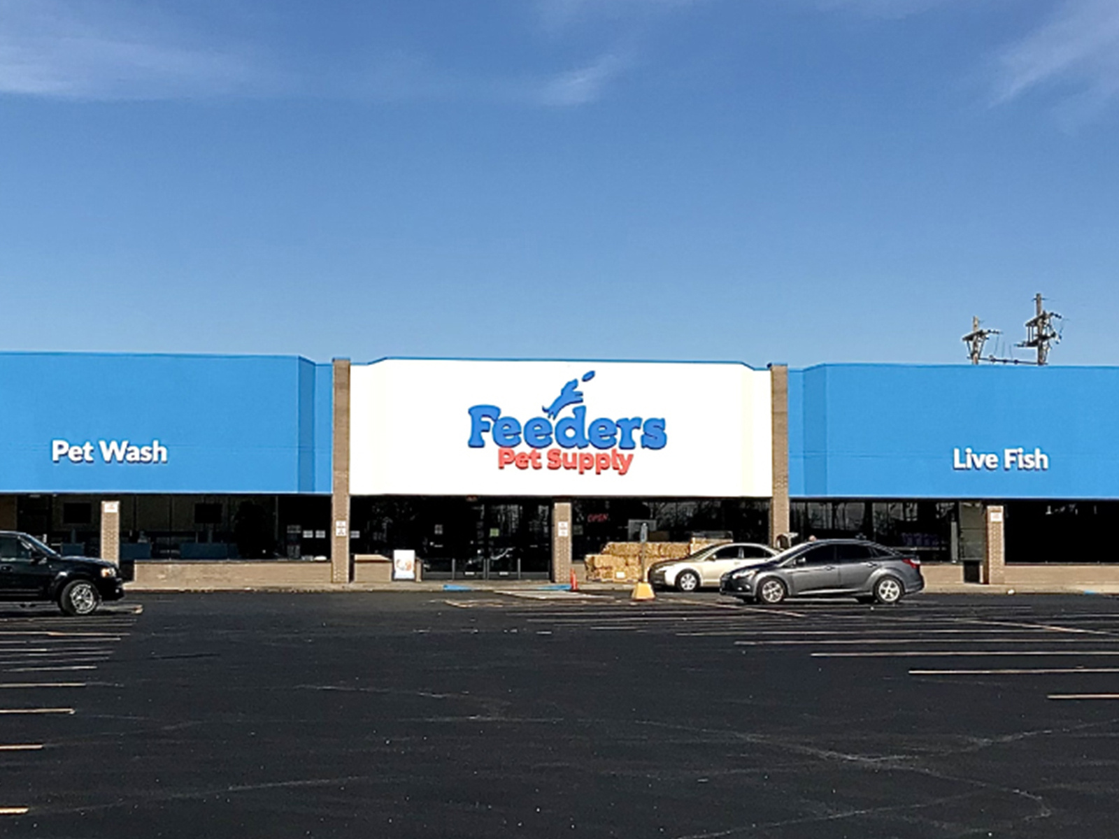 Feeders Pet Supply Store Facade by Reba Renee Design Studio on Dribbble