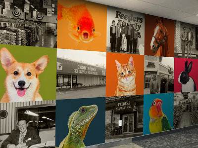 Feeders Pet Supply - Corporate Wall Graphic #3 cat corporate design dog feeders pet supply fish history horse lizard office pet rabbite wall mural