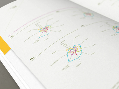 Government Economic and Statistical Report brochure design graphic print statistics