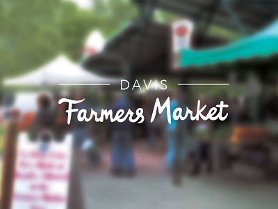 Davis Farmers Market Logo branding hand drawn hand lettering lettering logo sketch typography