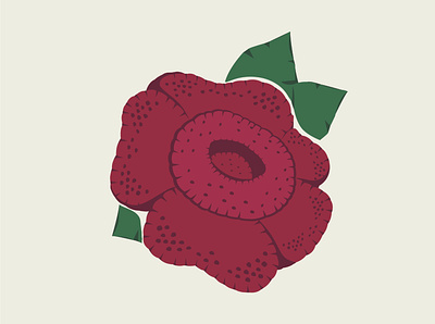 raflesia animation design flat icon illustration logo vector