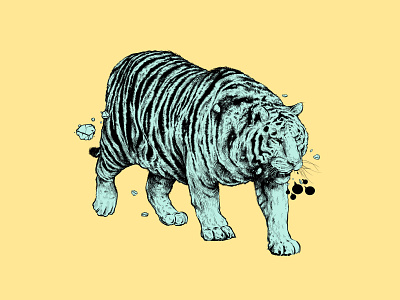 Tiger Illustration