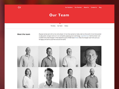 Snapper Services Website red ui web design website