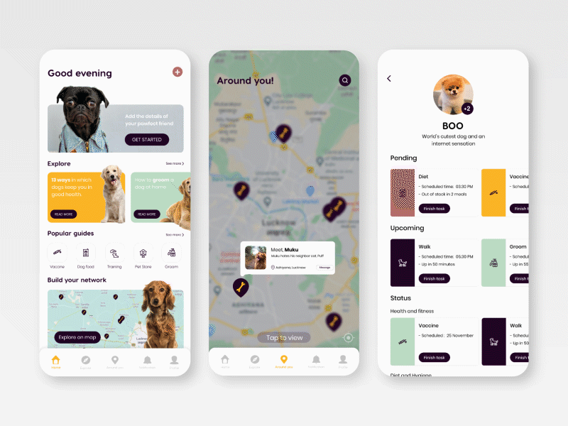 Doggo dog care app after effects animation animated gif animation app dog dog app dogs dogstudio minimal shadan amir ui ux