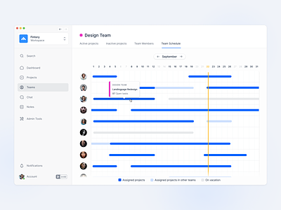 💪 Team Management and Booking Overview
