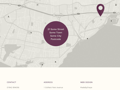 Custom Google Map