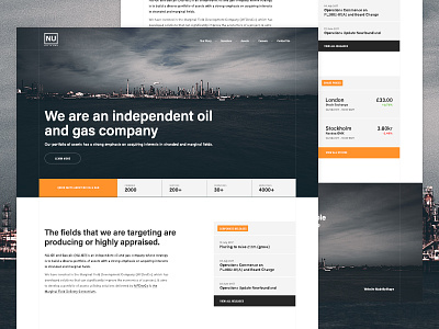 Nu Oil Homepage apple concept flat gas minimal oil store ui web web design