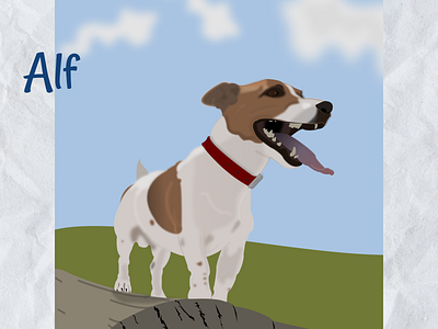 Jack russell terrier