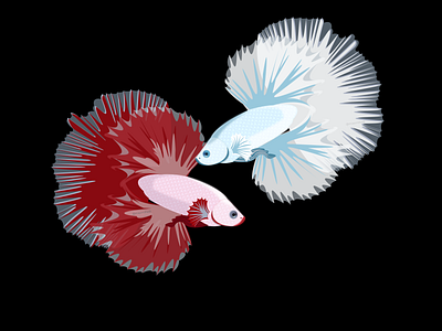 BettaFish 2d art art betta fish design fish illustration vector