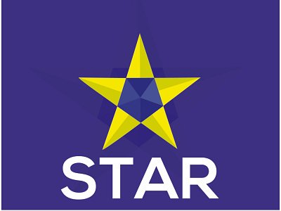 star logo branding business development flayer design graphic design icon illustration logo logo design typography vector