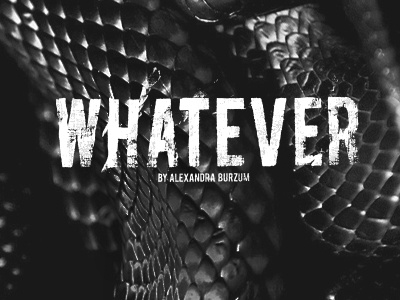 whatever 13.02 whatever