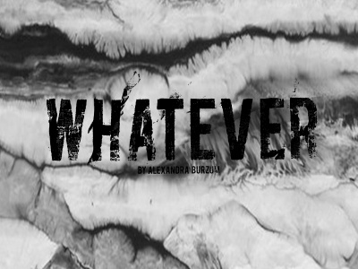 whatever 13.04 whatever