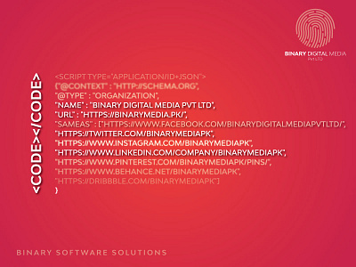 Binary Software Solutions binarymedia.pk branding branding agency creative digitalmarketing digitalpakistan software software company software design software development software house softwaredevelopment