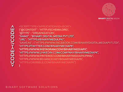 Binary Software Solutions