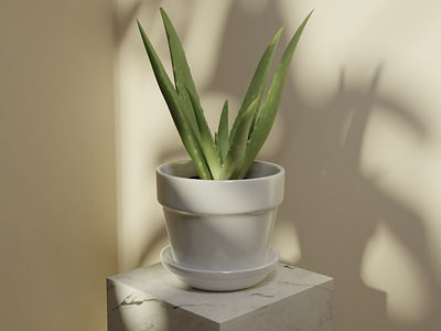 Succulent on Marble Pedestal 3d aloe vera b3d blender marble plant pot shadow succulent