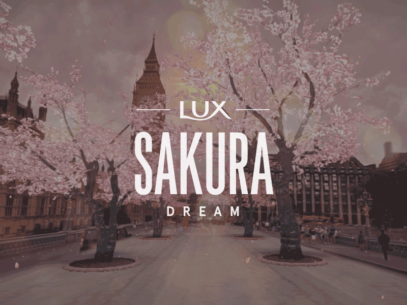 Sakura Dream cherry japan landmark maps sakura street view webgl