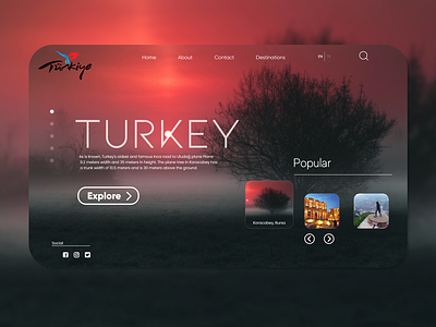 Travel Web Design