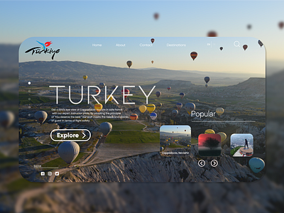 Travel Web Design